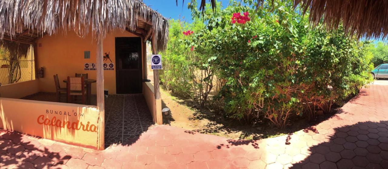 Bungalows Cabo Pulmo Ngoại thất bức ảnh