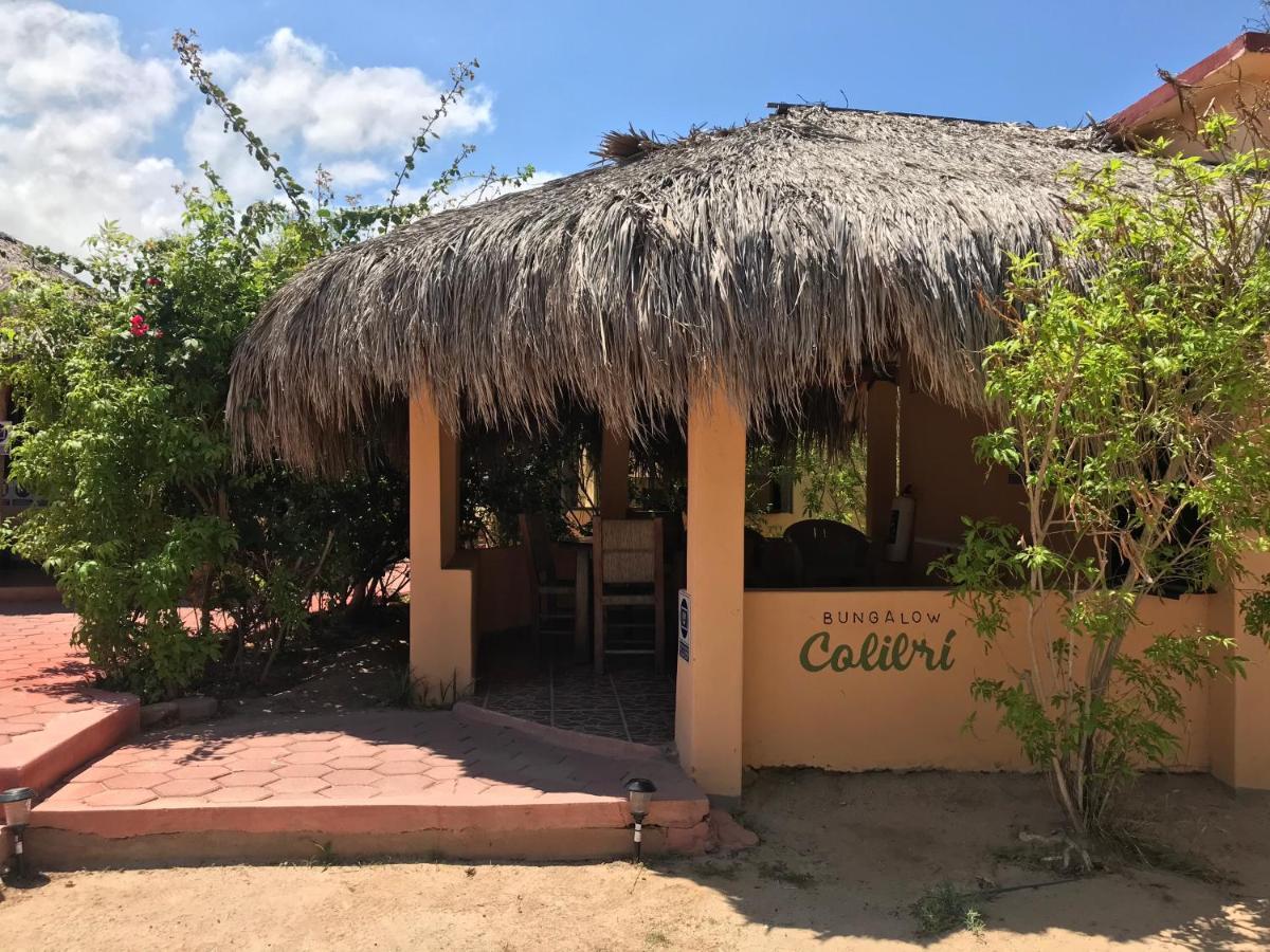Bungalows Cabo Pulmo Ngoại thất bức ảnh