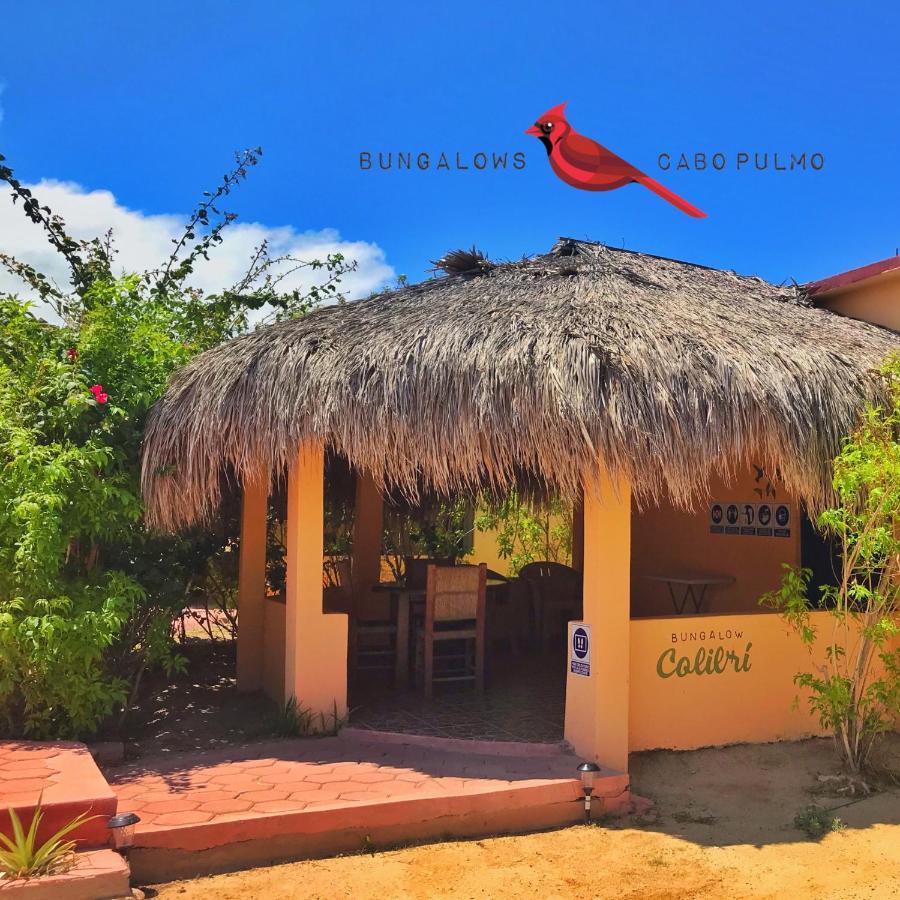 Bungalows Cabo Pulmo Ngoại thất bức ảnh