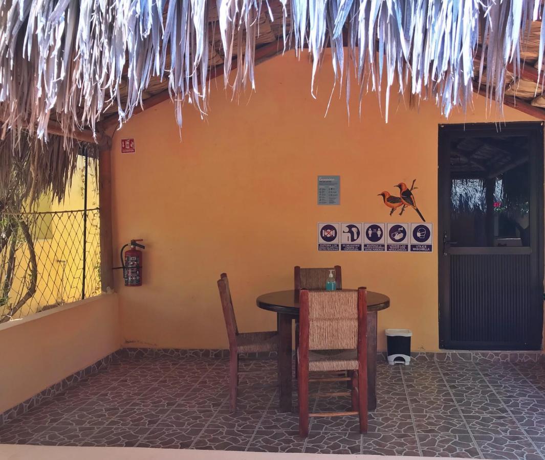 Bungalows Cabo Pulmo Ngoại thất bức ảnh