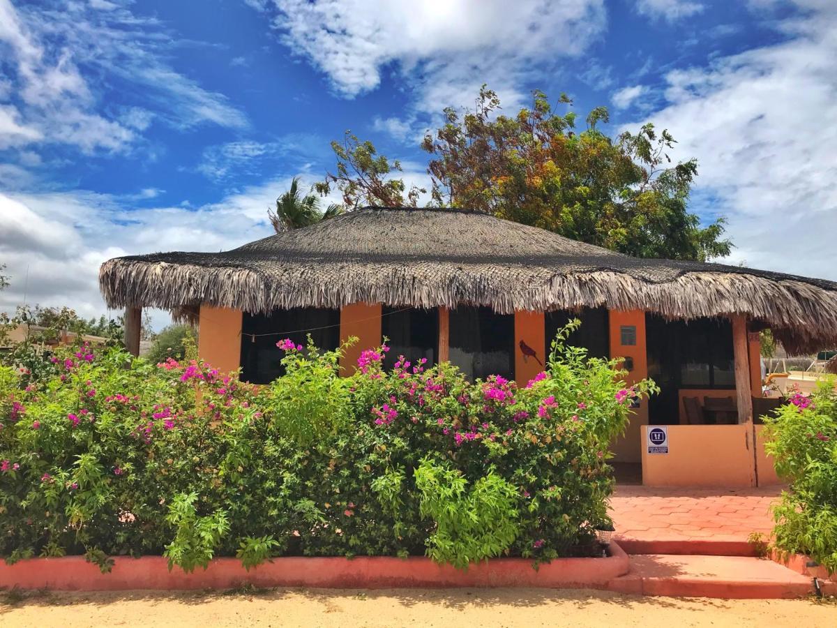 Bungalows Cabo Pulmo Ngoại thất bức ảnh