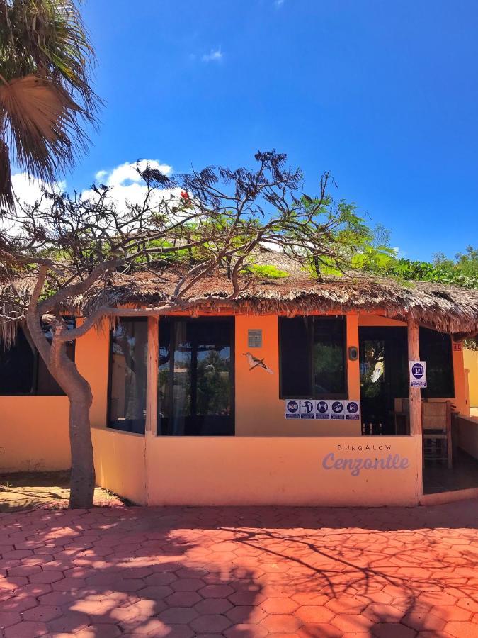 Bungalows Cabo Pulmo Ngoại thất bức ảnh