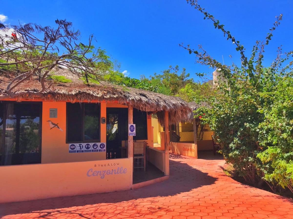Bungalows Cabo Pulmo Ngoại thất bức ảnh