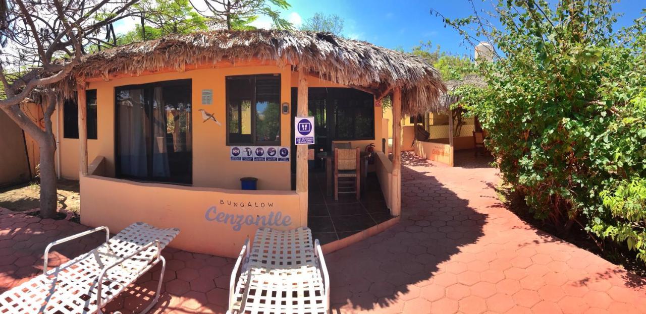 Bungalows Cabo Pulmo Ngoại thất bức ảnh