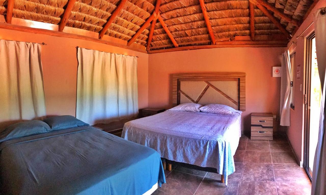 Bungalows Cabo Pulmo Ngoại thất bức ảnh